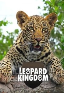 Leopard Kingdom