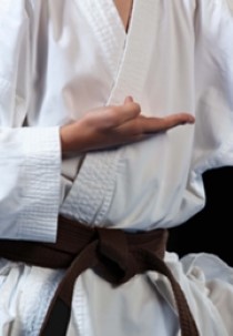 Judo: Masters