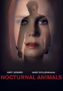 Nocturnal Animals