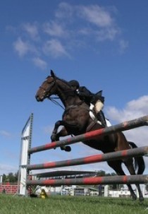 Paardensport: Indoor Brabant