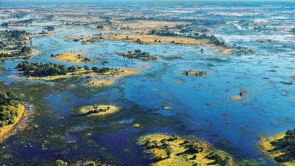 The Flood: Africa's Okavango