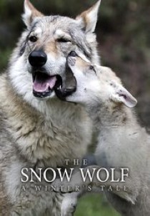 The Snow Wolf: A Winter's Tale